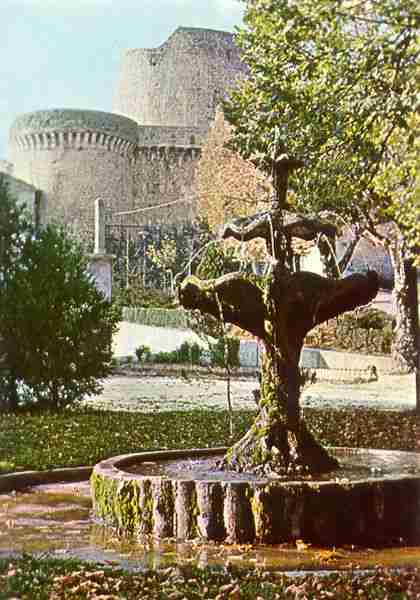 Carte postale: Fontana e Castello (Foto E. Scharnecchia, Ee 5)